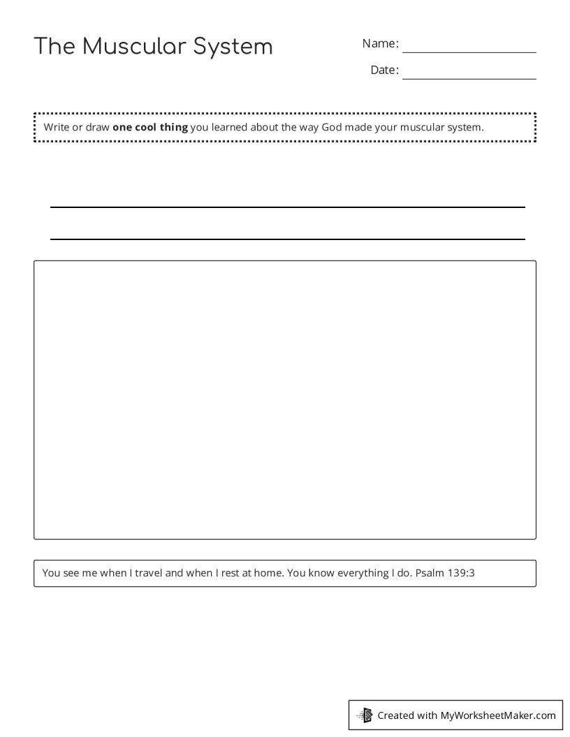 The Muscular System - My Worksheet Maker: Create Your Own Worksheets