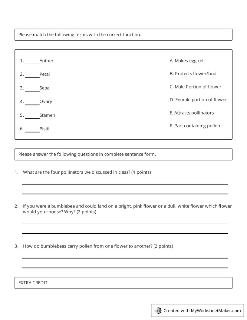 Worksheet My Worksheet Maker Create Your Own Worksheets
