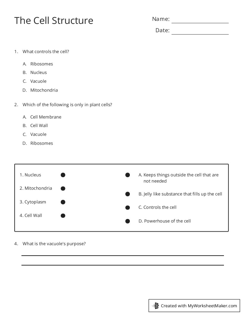 The Cell Structure - My Worksheet Maker: Create Your Own Worksheets