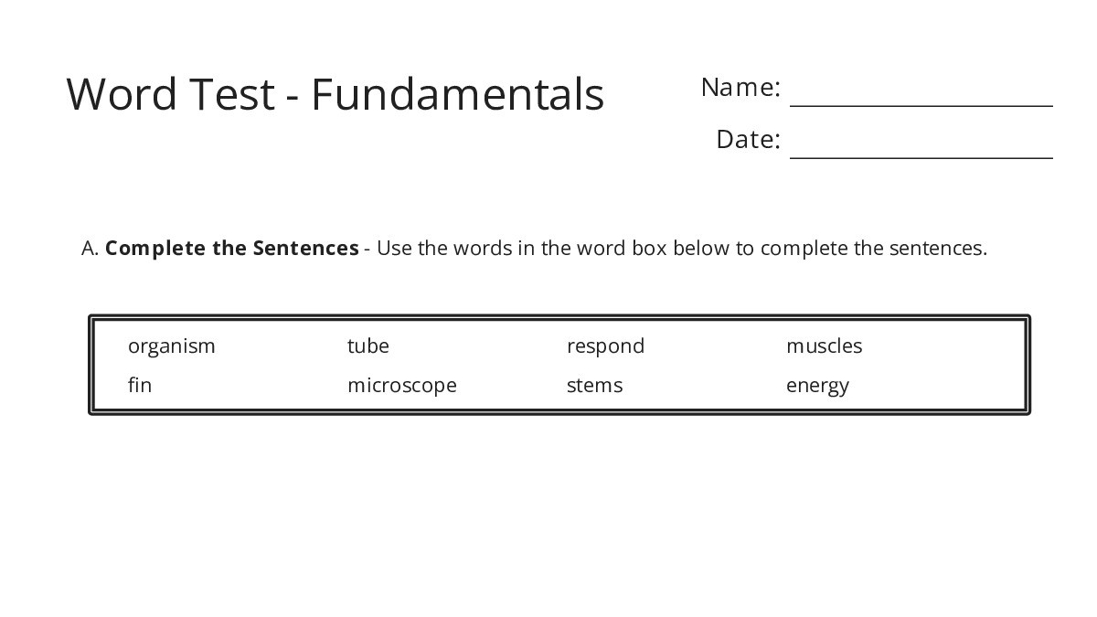 Word Test - Fundamentals - My Worksheet Maker: Create Your Own Worksheets