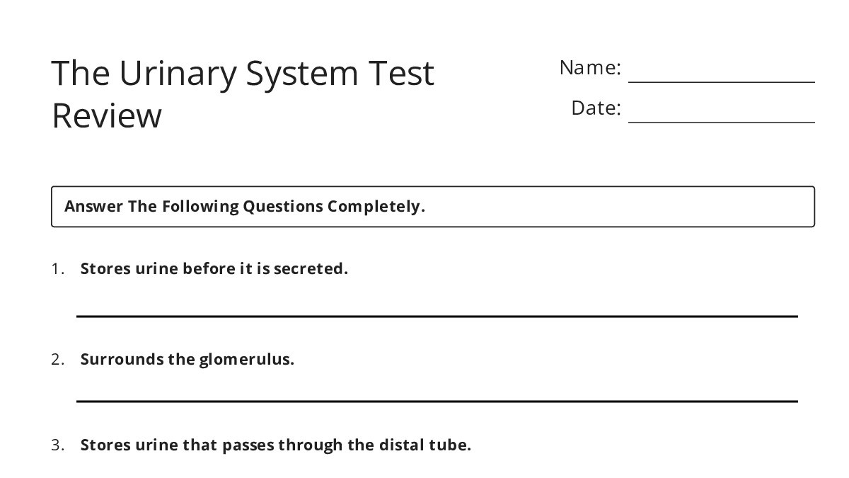 The Urinary System Test Review - My Worksheet Maker: Create Your Own ...