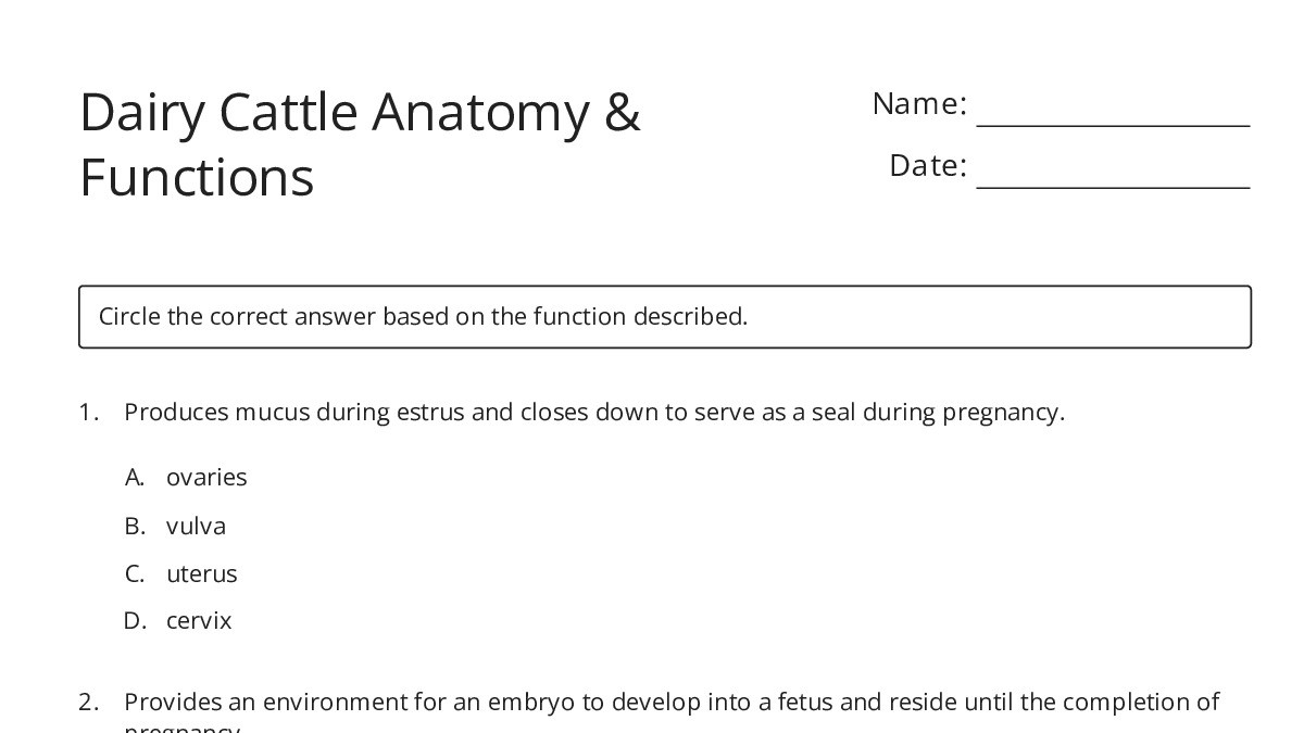 Dairy Cattle Anatomy & Functions - My Worksheet Maker: Create Your Own ...