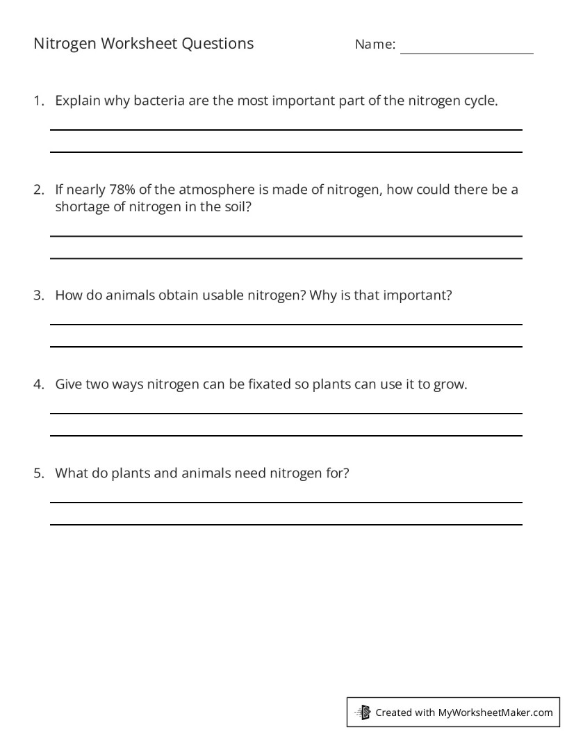 Nitrogen Worksheet Questions - My Worksheet Maker: Create Your Own ...