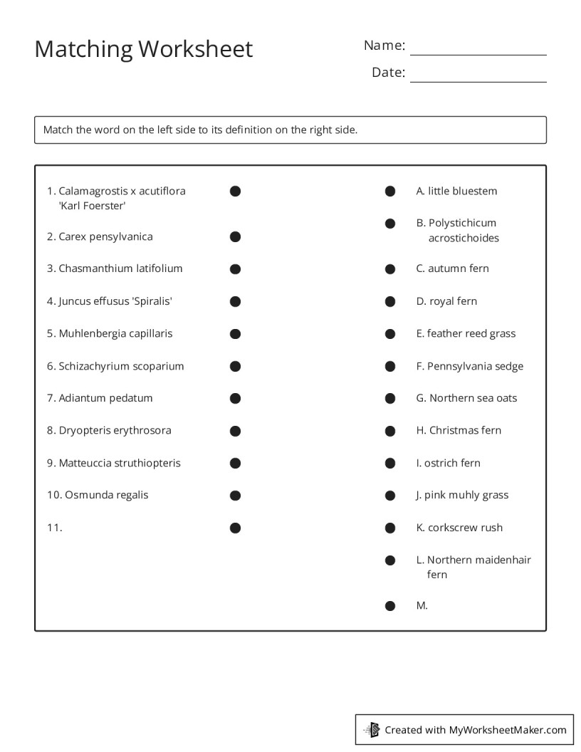 Matching Worksheet - My Worksheet Maker: Create Your Own Worksheets