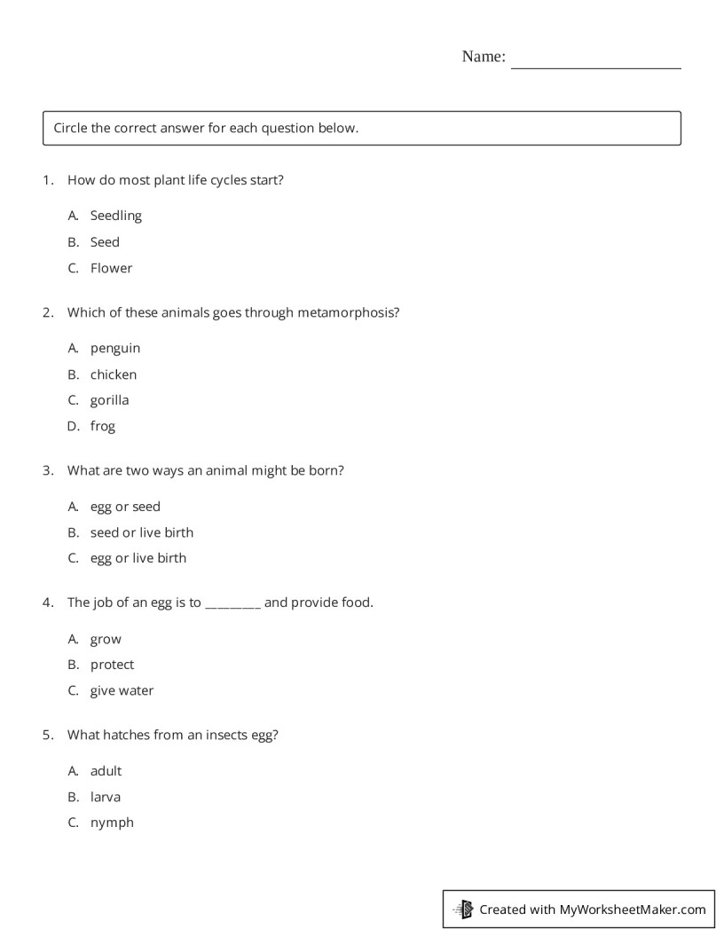 Multiple Choice Worksheet - My Worksheet Maker: Create Your Own Worksheets