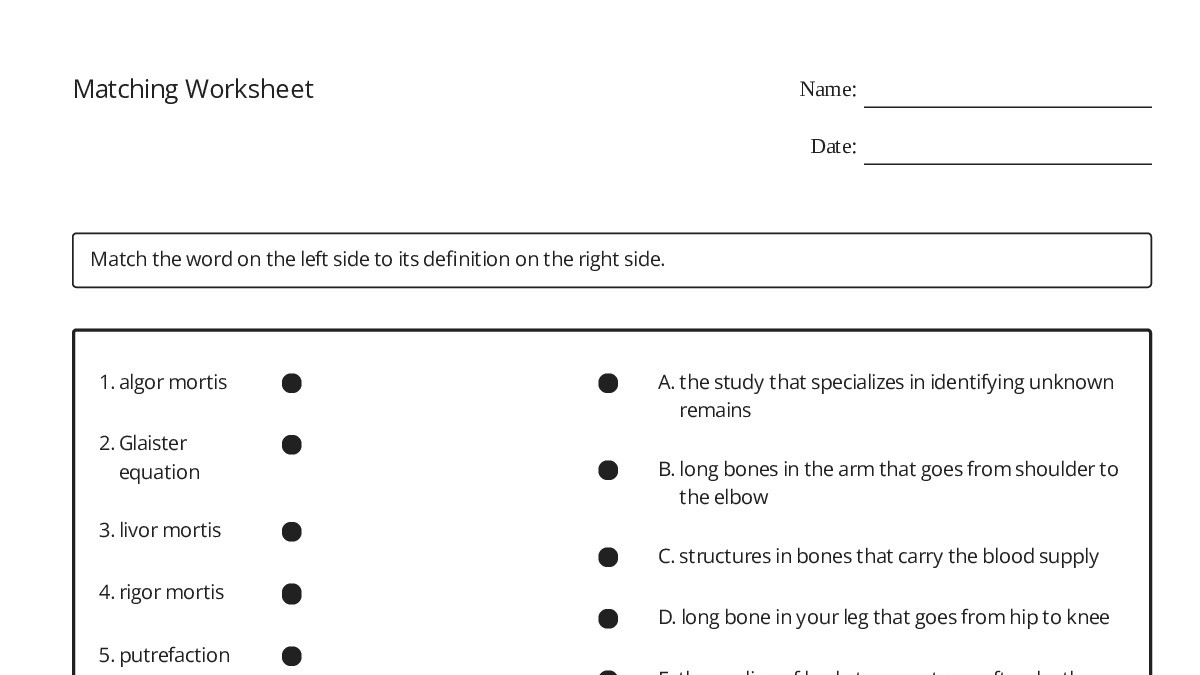Matching Worksheet - My Worksheet Maker: Create Your Own Worksheets