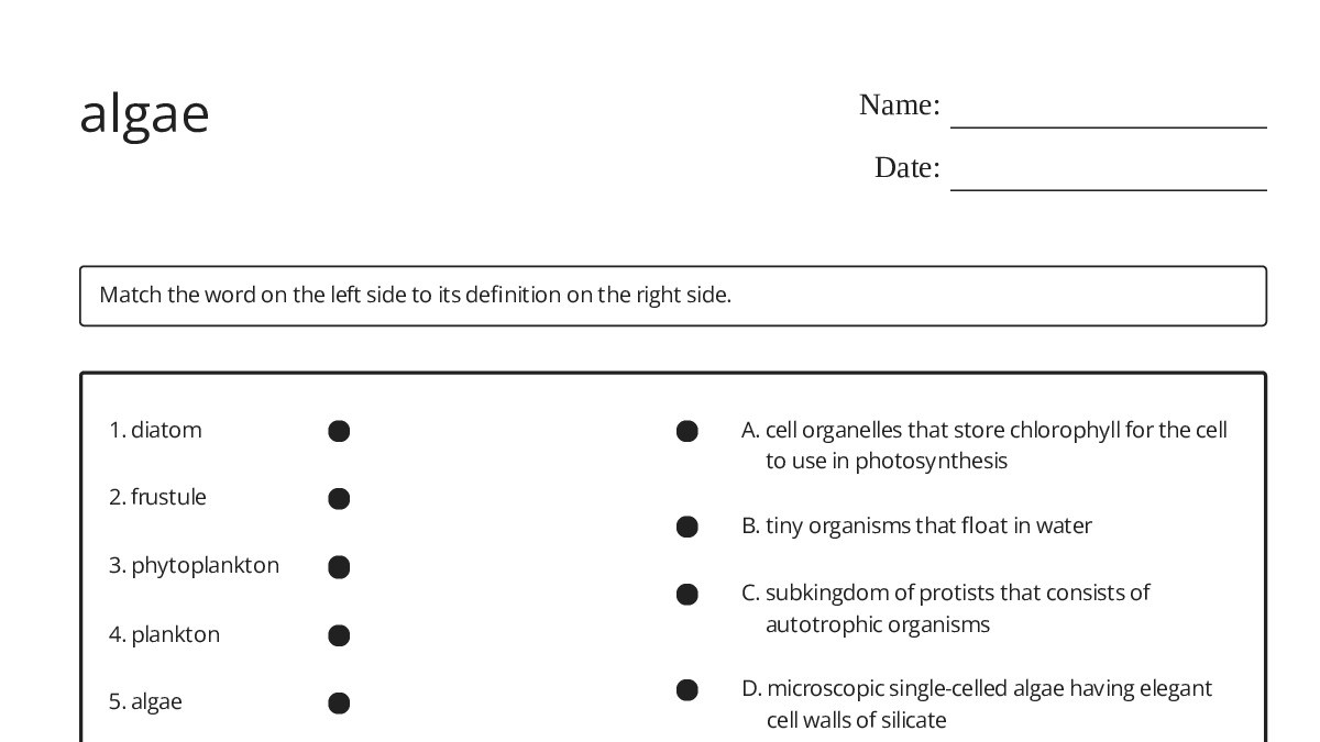 algae - My Worksheet Maker: Create Your Own Worksheets