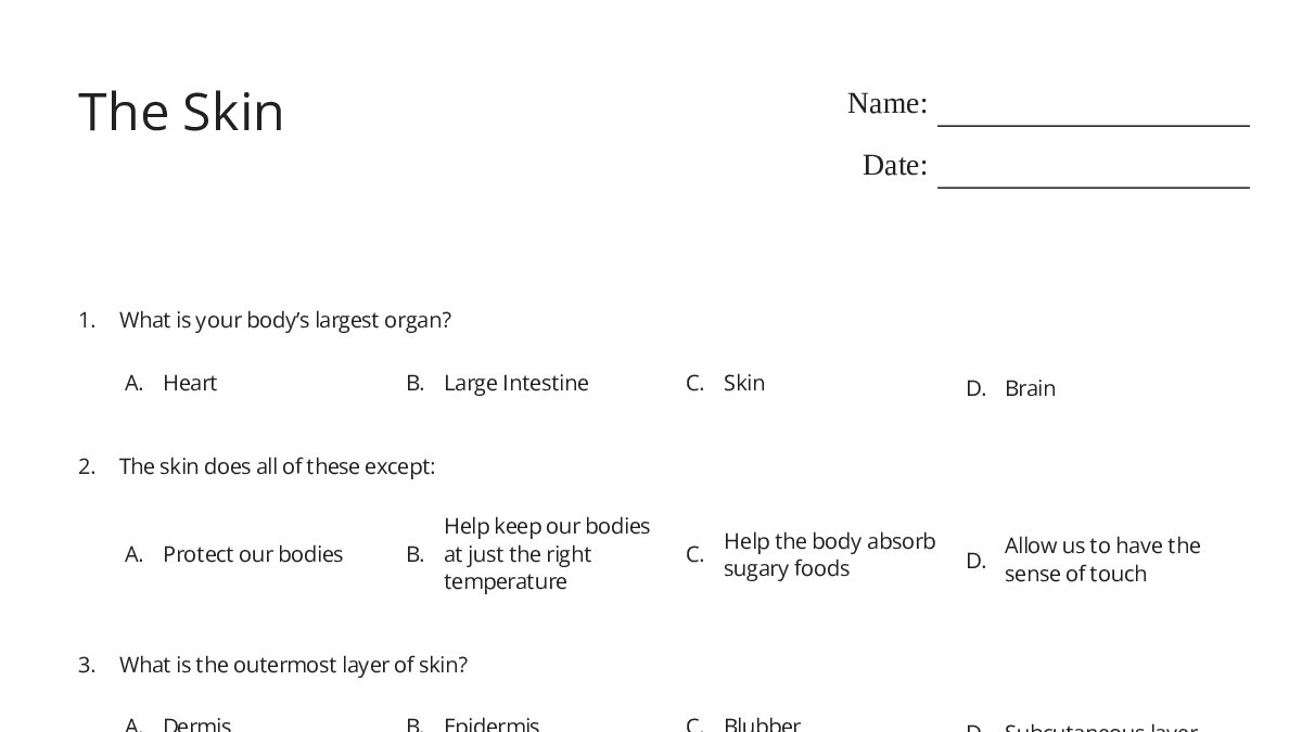 The Skin - My Worksheet Maker: Create Your Own Worksheets