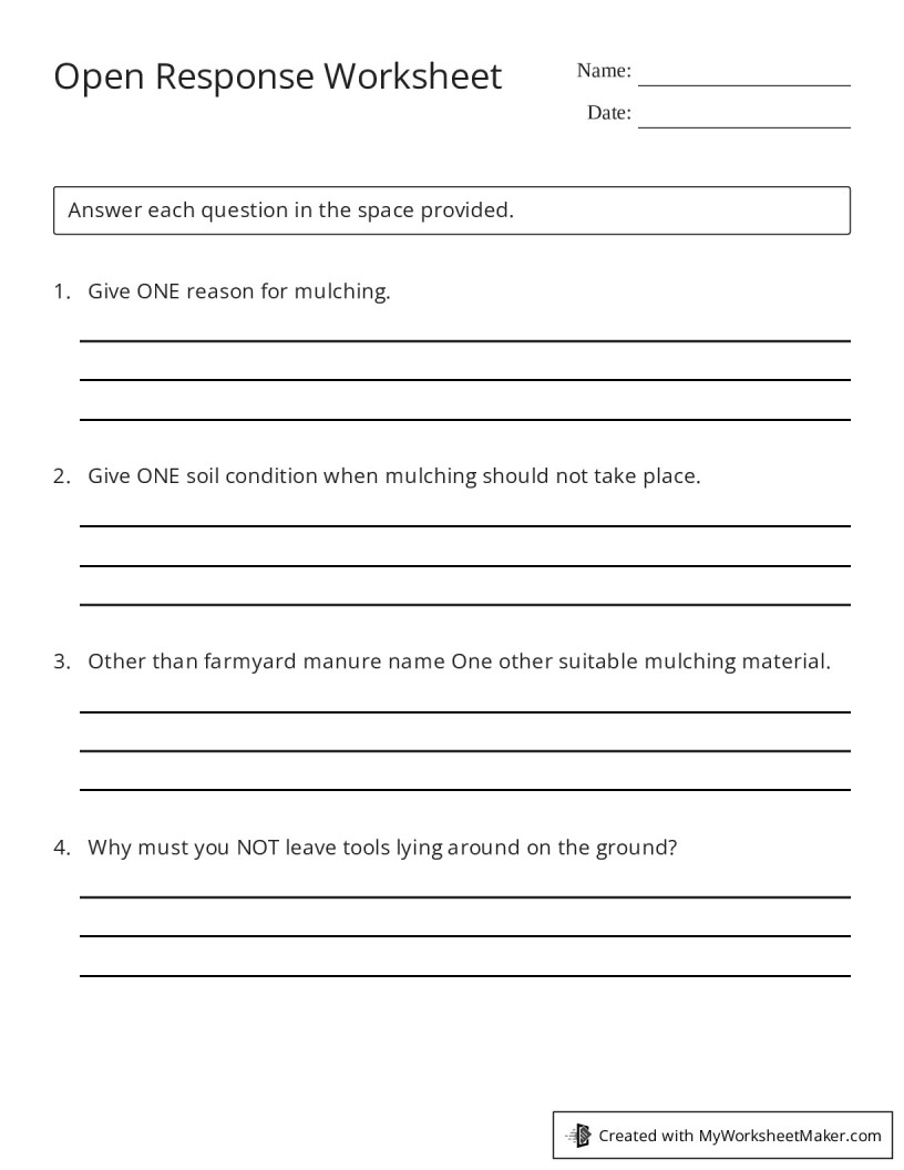 Open Response Worksheet - My Worksheet Maker: Create Your Own Worksheets