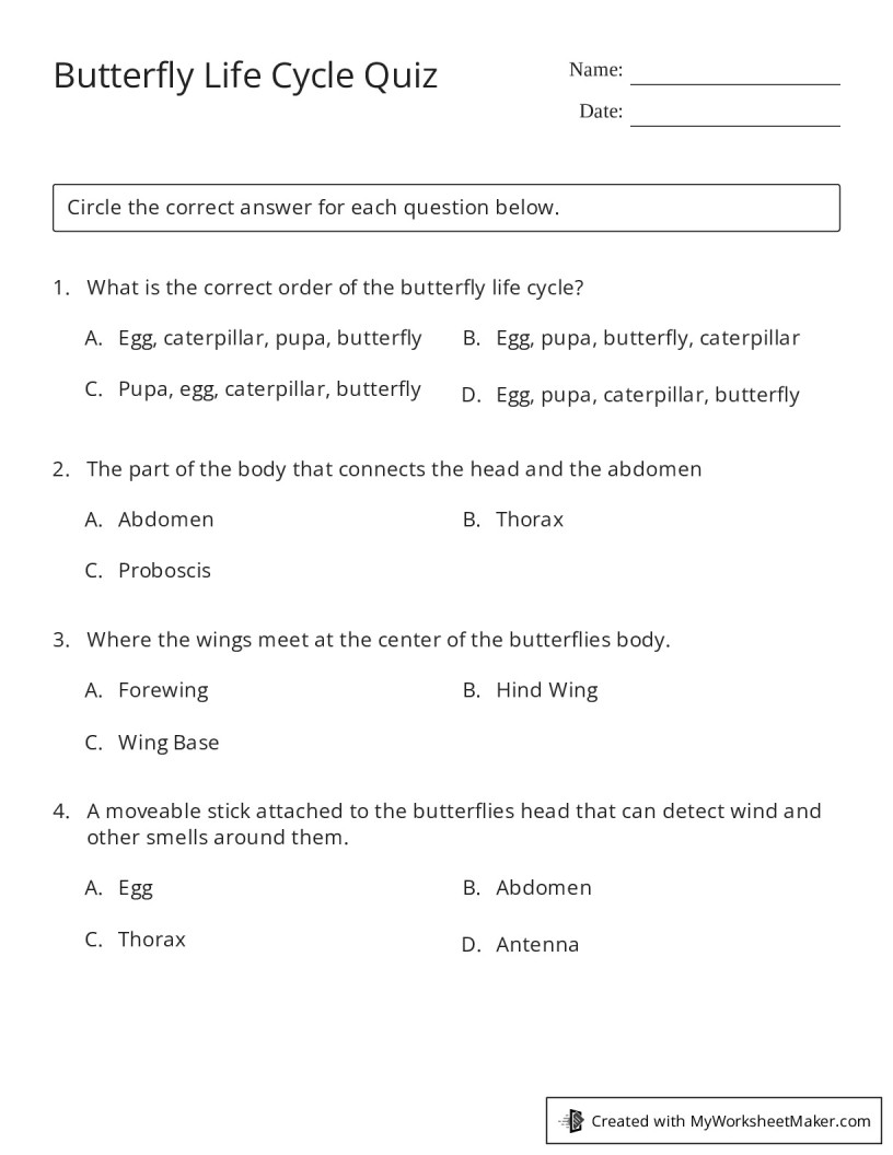 Butterfly Life Cycle Quiz - My Worksheet Maker: Create Your Own Worksheets