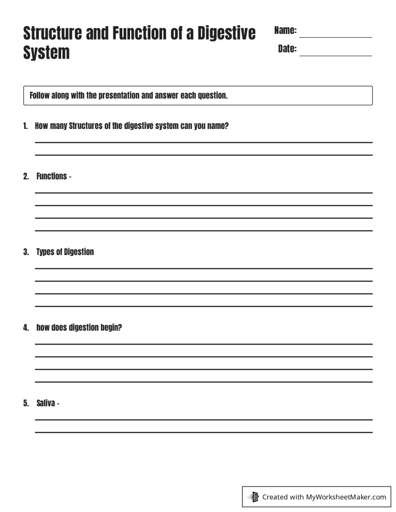 Structure and Function of a Digestive System - My Worksheet Maker ...
