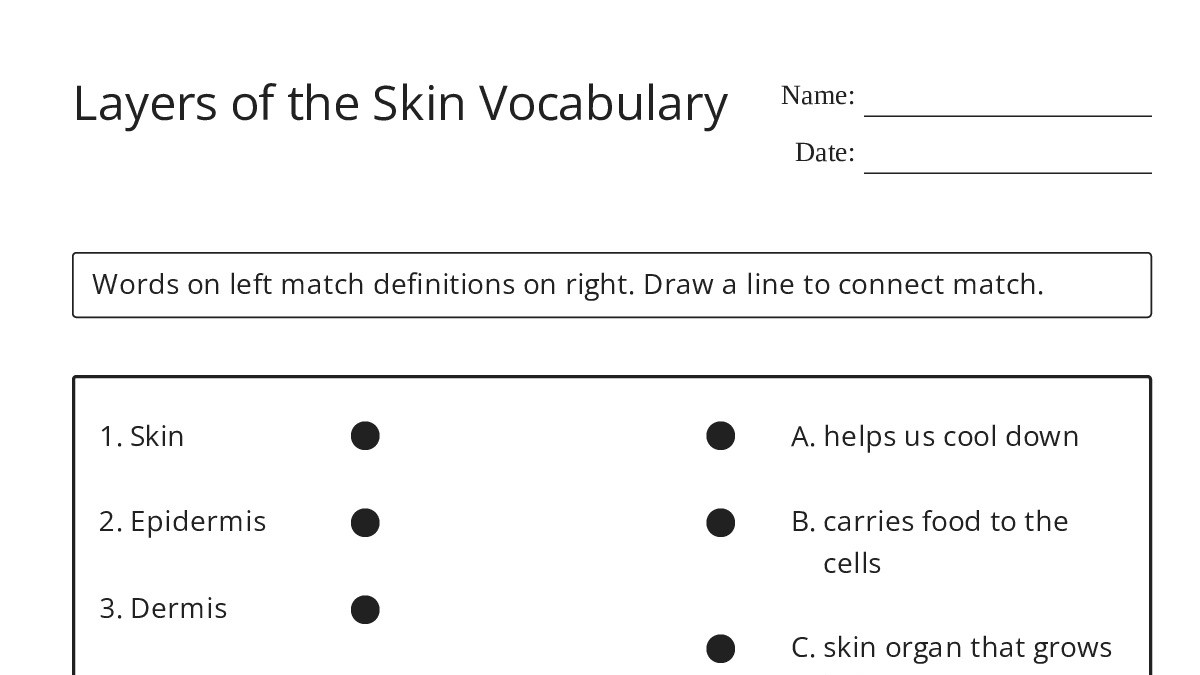 Layers of the Skin Vocabulary - My Worksheet Maker: Create Your Own ...