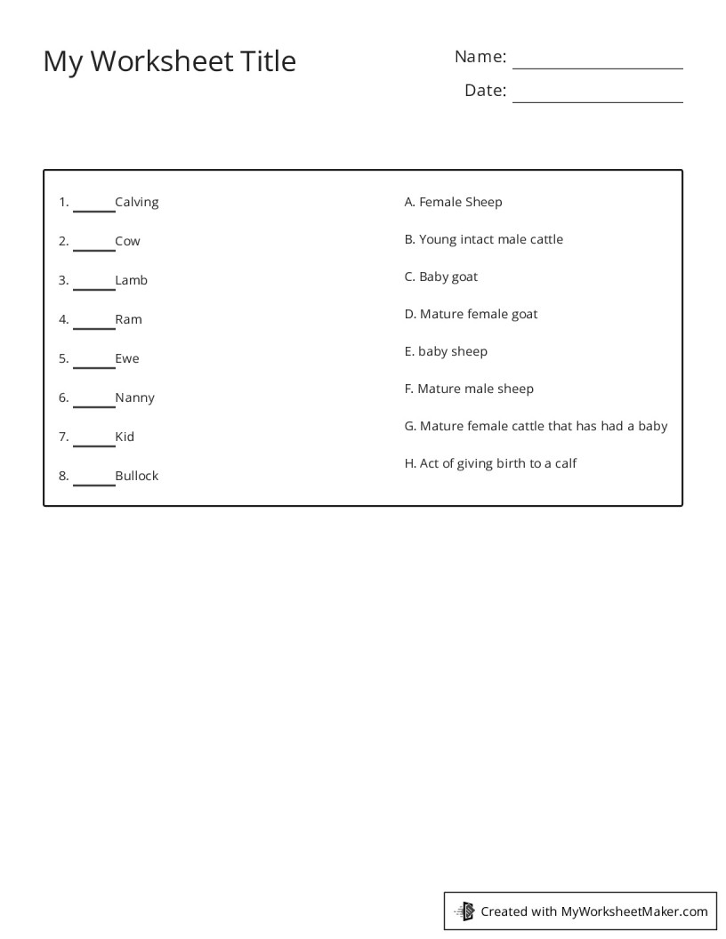 My Worksheet Title - My Worksheet Maker: Create Your Own Worksheets