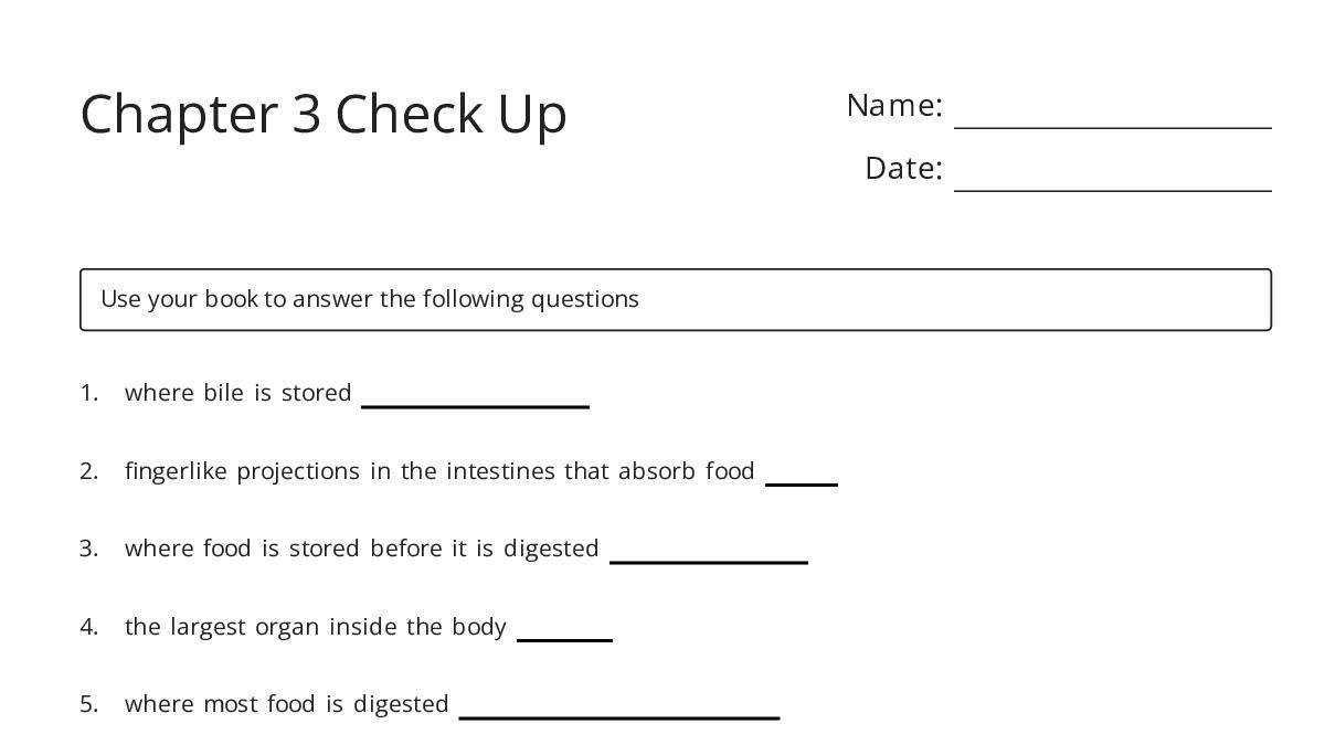 Chapter 3 Check Up - My Worksheet Maker: Create Your Own Worksheets