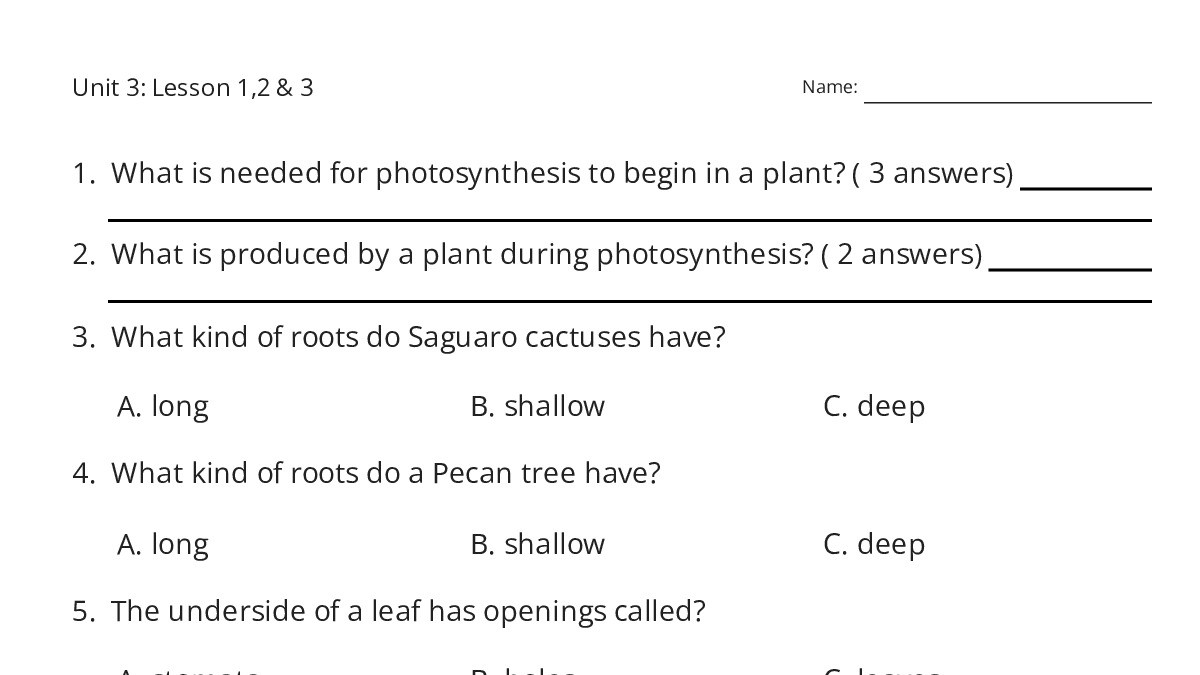 Unit 3: Lesson 1,2 & 3 - My Worksheet Maker: Create Your Own Worksheets