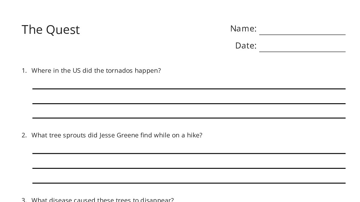 The Quest - My Worksheet Maker: Create Your Own Worksheets