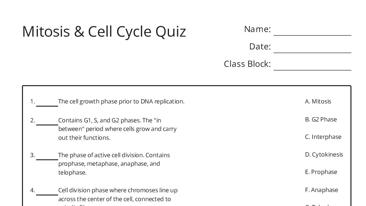 Mitosis & Cell Cycle Quiz - My Worksheet Maker: Create Your Own Worksheets
