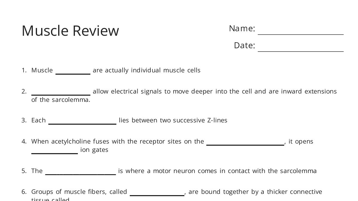 Muscle Review - My Worksheet Maker: Create Your Own Worksheets