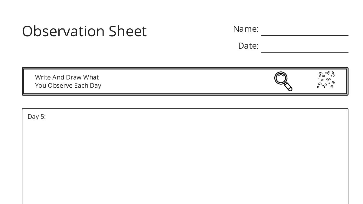 Observation Sheet - My Worksheet Maker: Create Your Own Worksheets