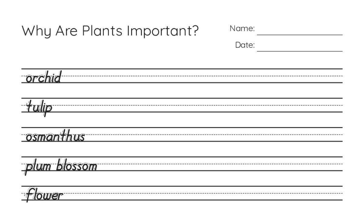 Why Are Plants Important? - My Worksheet Maker: Create Your Own Worksheets