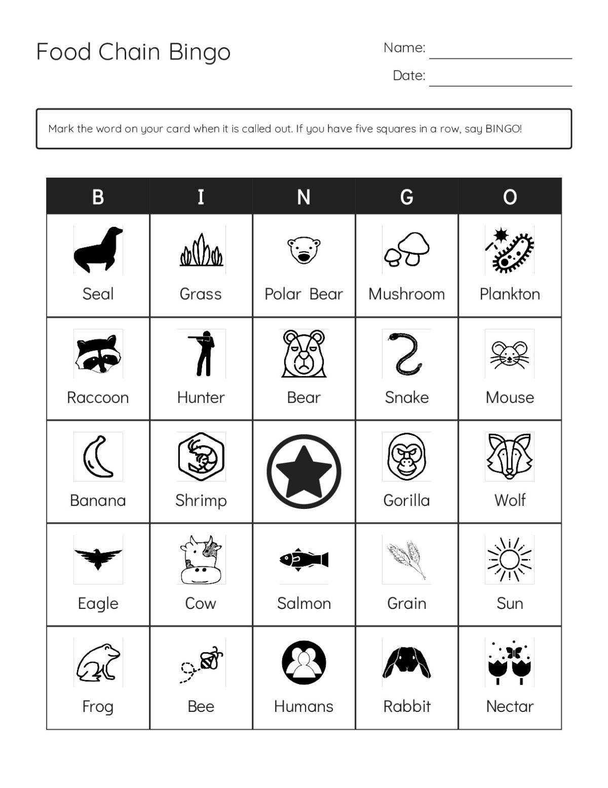 Food chain bingo cards featuring animals, plants, and predator-prey relationships.