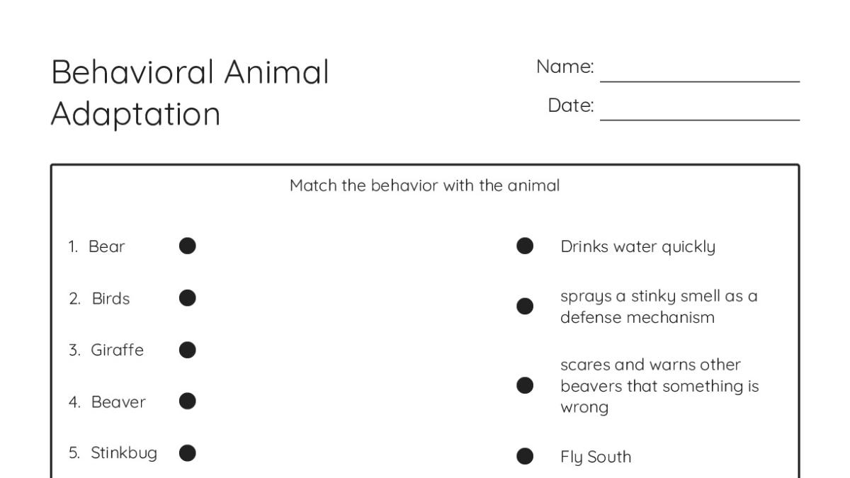 Behavioral Animal Adaptation - My Worksheet Maker: Create Your Own ...