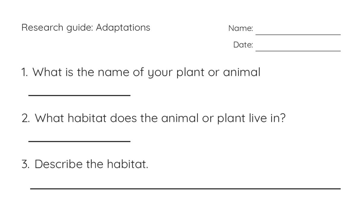 Research guide: Adaptations - My Worksheet Maker: Create Your Own ...