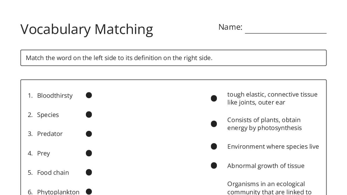 Vocabulary Matching - My Worksheet Maker: Create Your Own Worksheets