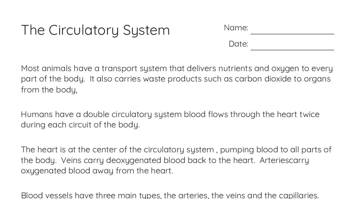 The Circulatory System - My Worksheet Maker: Create Your Own Worksheets