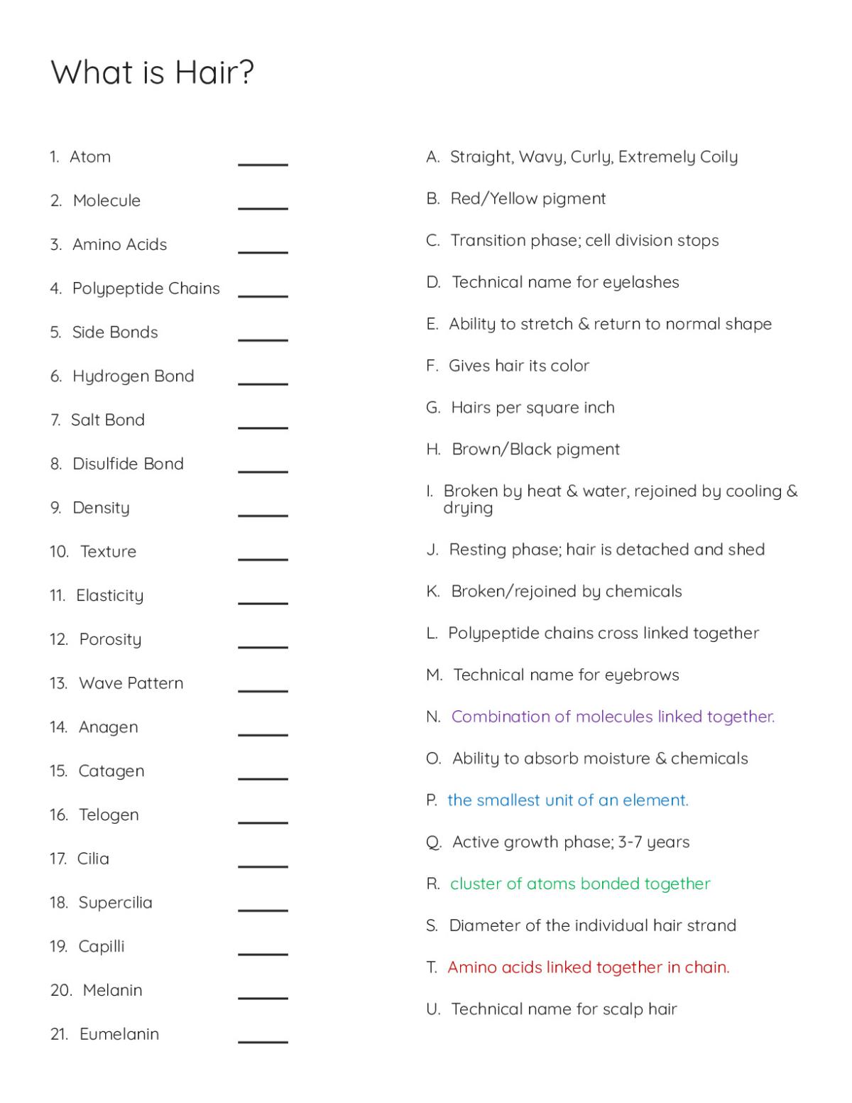 Matching worksheet on hair structure and science including bonds, hair properties, growth phases, and melanin pigment types.