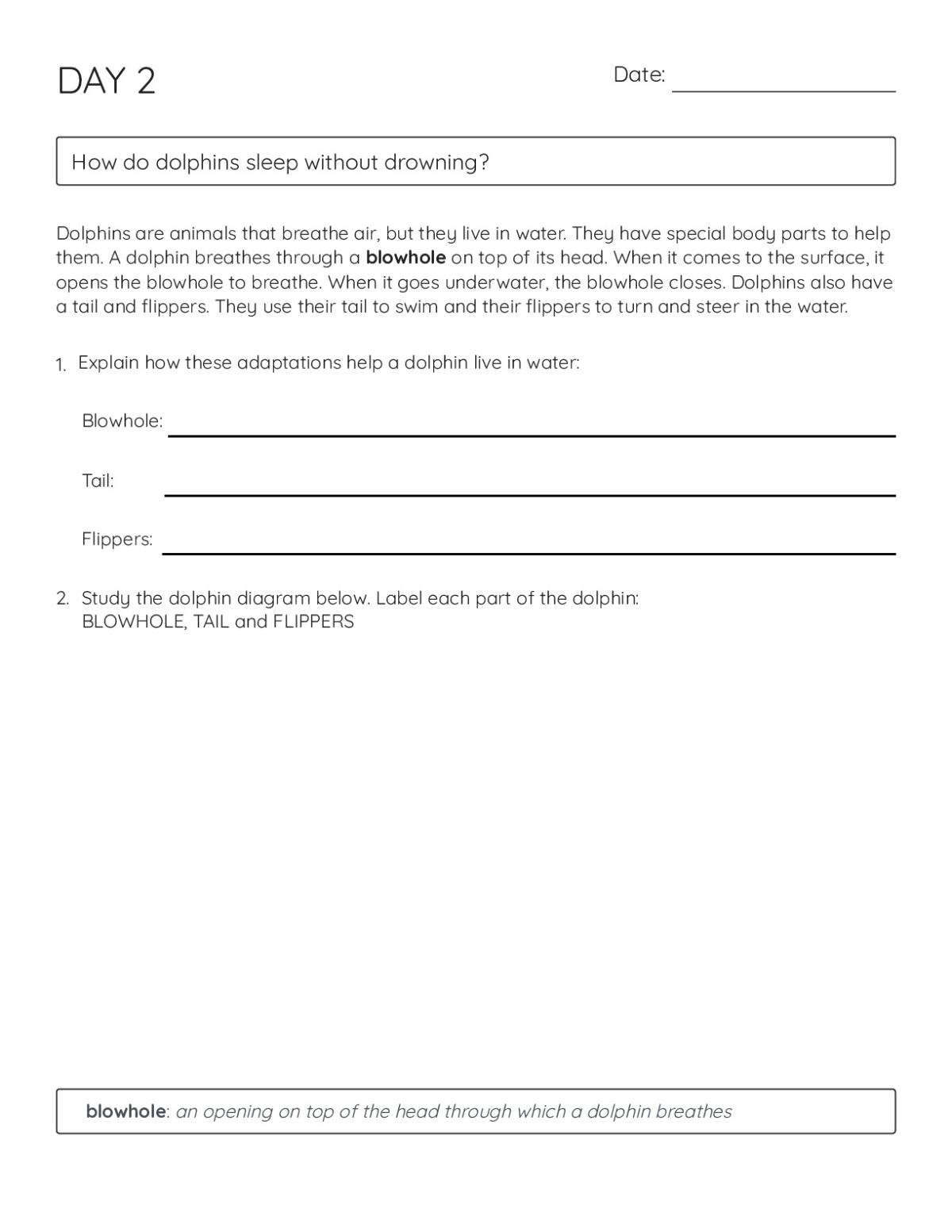 Science worksheet on dolphin adaptations including blowhole, tail, and flippers, with a diagram labeling exercise.