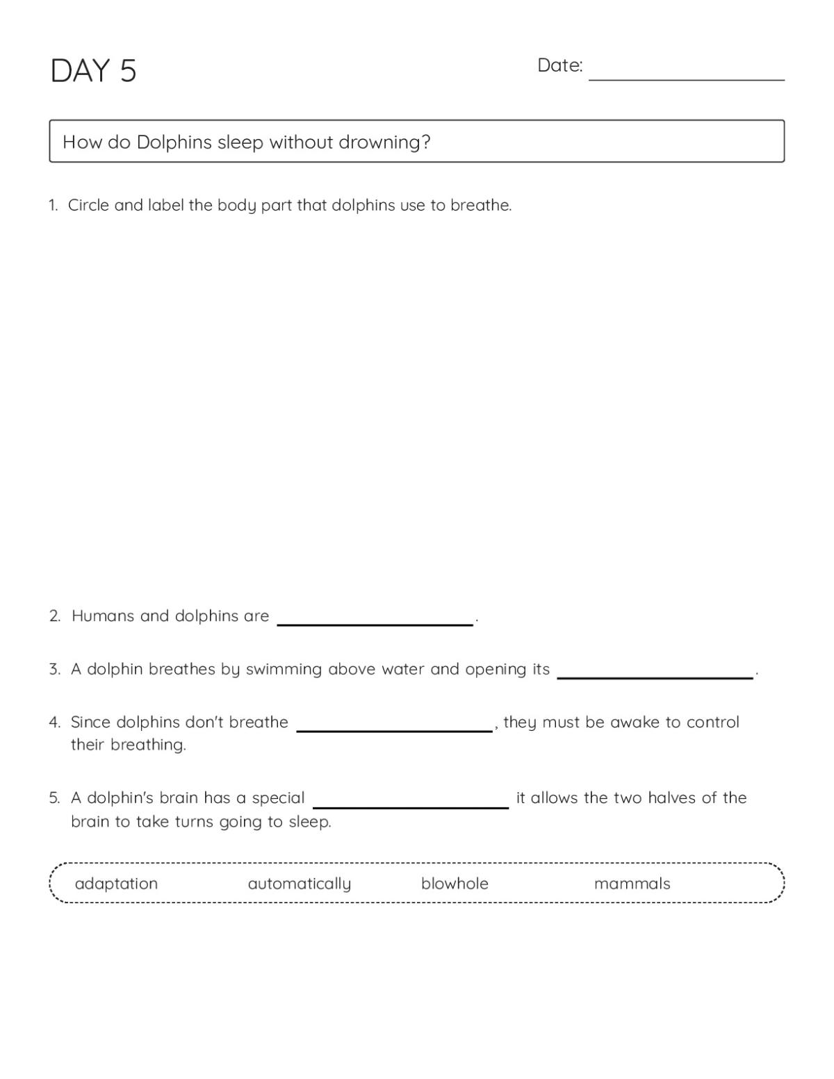 Science worksheet about dolphins with fill-in-the-blank vocabulary questions and a labeled diagram of a dolphin's blowhole.