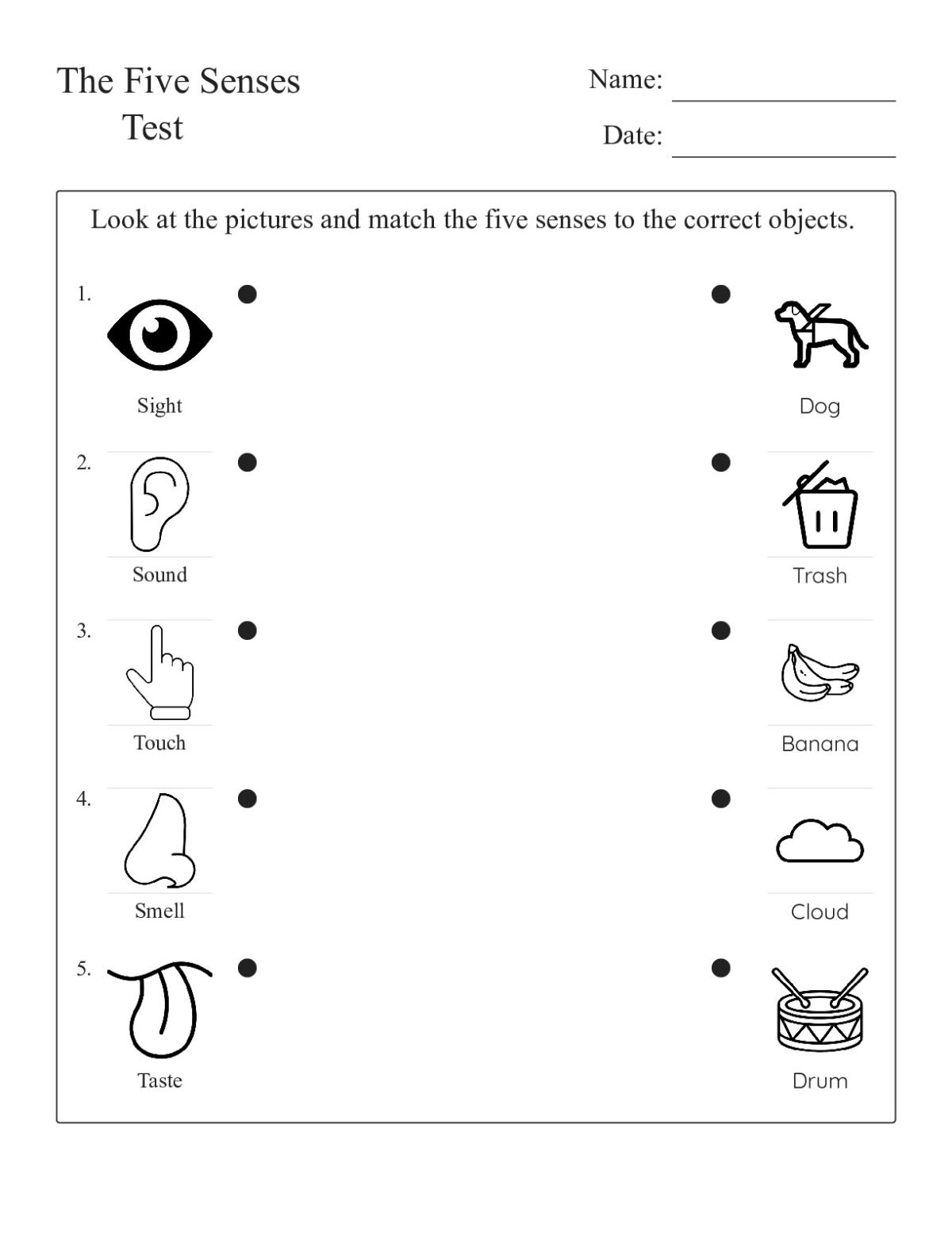 Printable 1st grade science quiz with multiple-choice questions on the five senses: sight, sound, touch, taste, and smell.