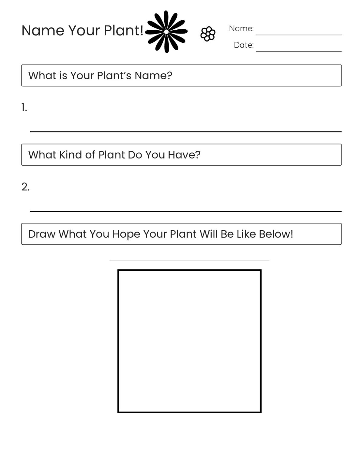 Printable worksheet for Grades 2–4 with prompts to name a plant, identify its type, and draw its future appearance.