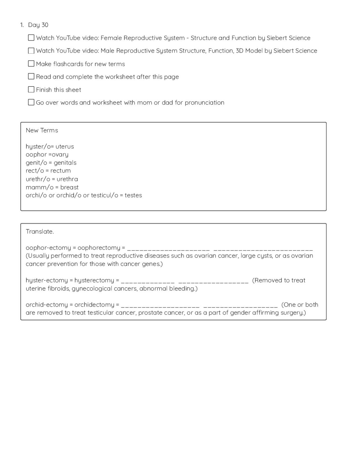 Printable anatomy worksheet on medical terminology for reproductive system procedures including oophorectomy, hysterectomy, and orchidectomy.