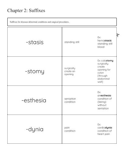 Human Body Systems Crossword Puzzle - Free Printable | BrightSprout