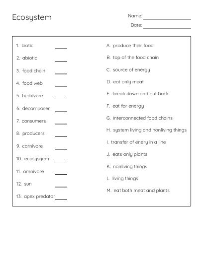 Light Behaviors: Reflection vs. Refraction Worksheet - Free Printable ...