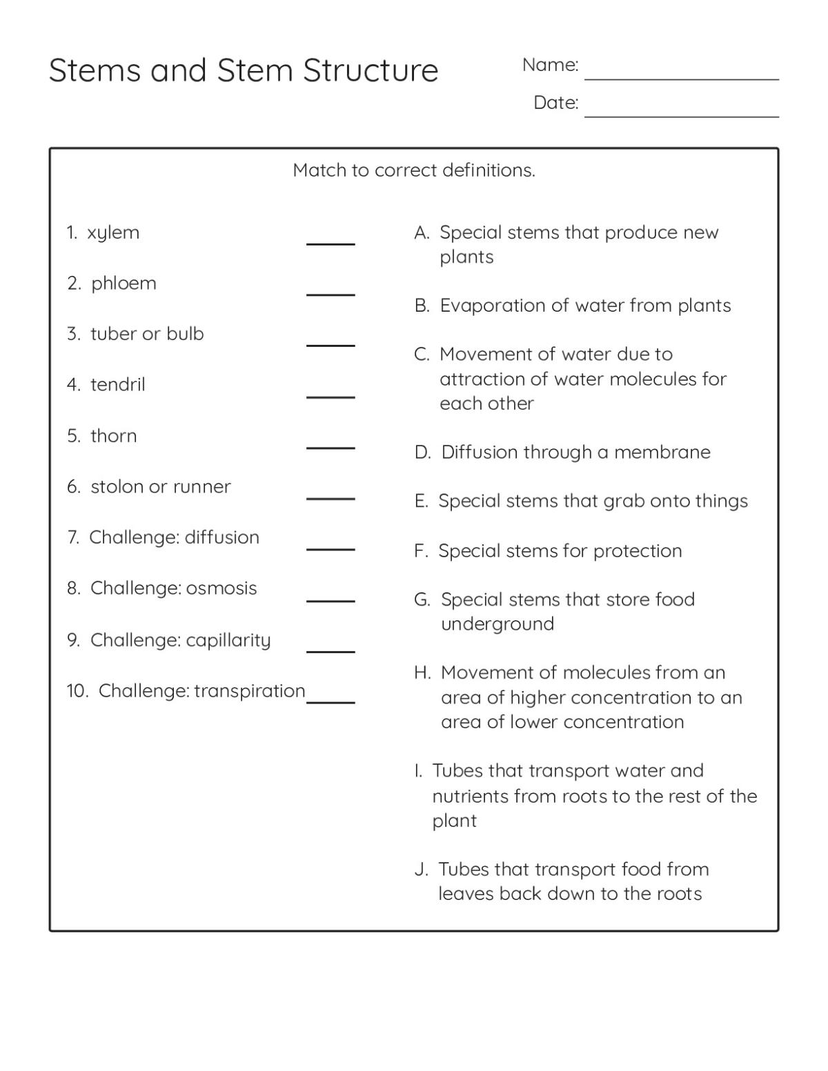 Science Test Structures Stems and Stem Structure - Free Printable | BrightSprout