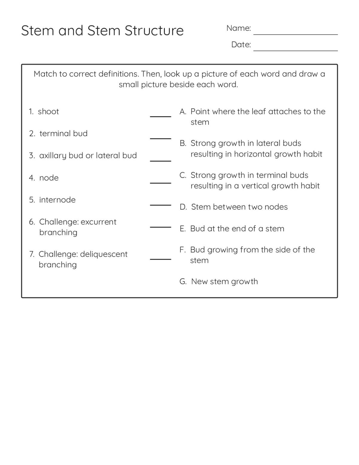 Science Test Structures Stem and Stem Structure - Free Printable | BrightSprout