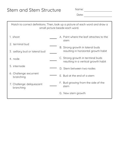 Microbiology Crossword Puzzle - Free Printable | BrightSprout