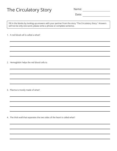 Insect Orders Review - Free Printable | BrightSprout