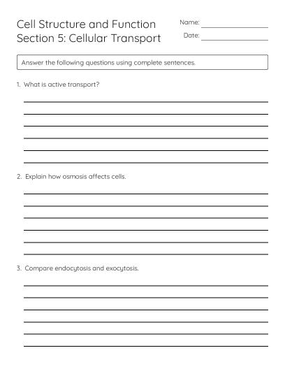 Cell Transport Vocabulary Crossword Puzzle - Free Printable | BrightSprout
