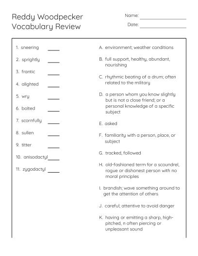 Grade 3 Vocabulary Crossword Puzzle - Free Printable | BrightSprout