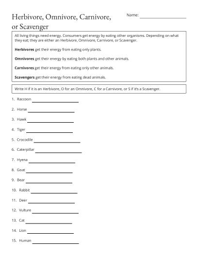 Pets & Pet Care Word Search - Free Printable | BrightSprout