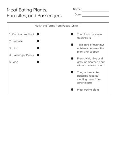 Modern Genetics Section 2: The Genetic Code - Free Printable | BrightSprout