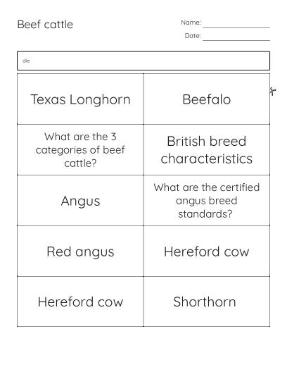 Pets Word Search - Free Printable | BrightSprout