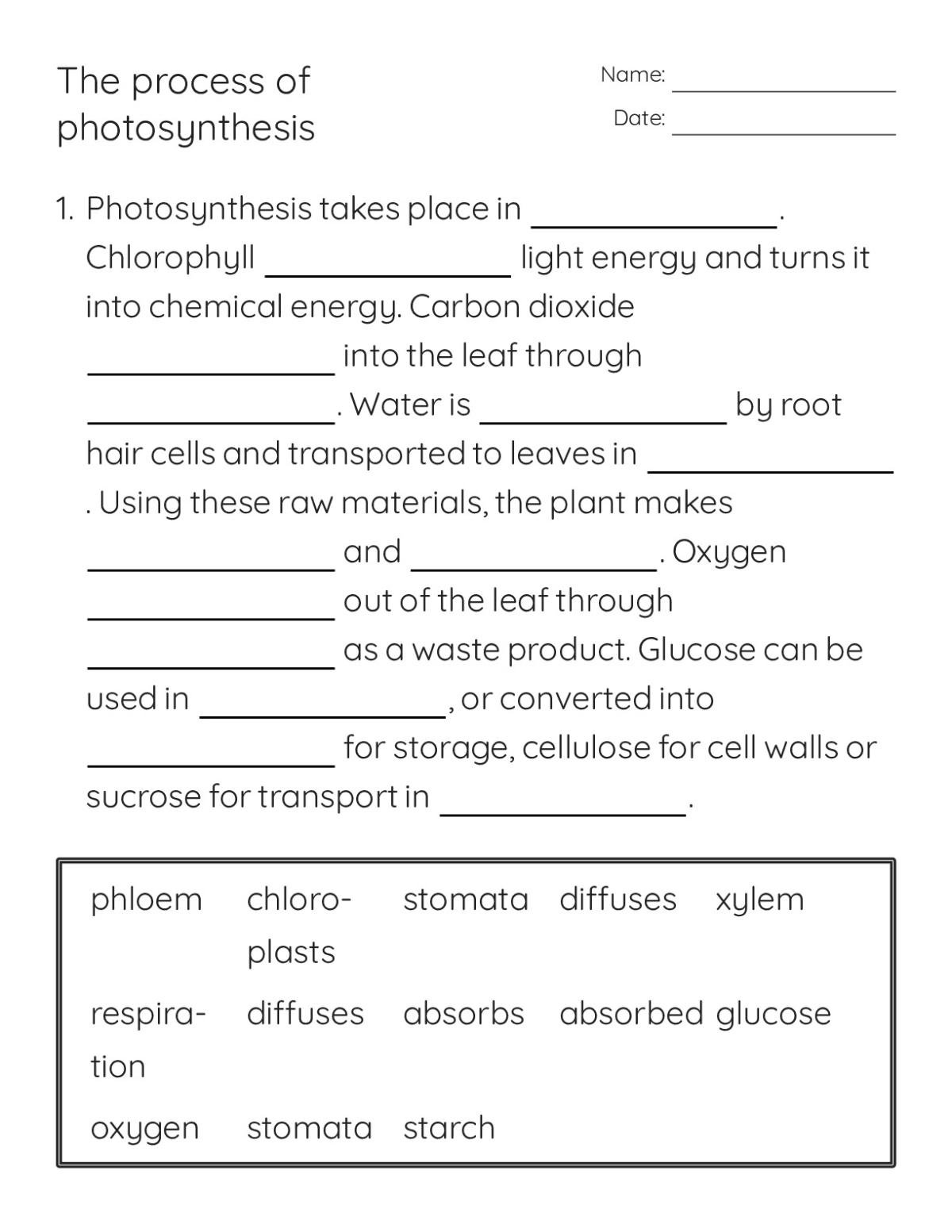 The Process of Photosynthesis - Free Printable | BrightSprout