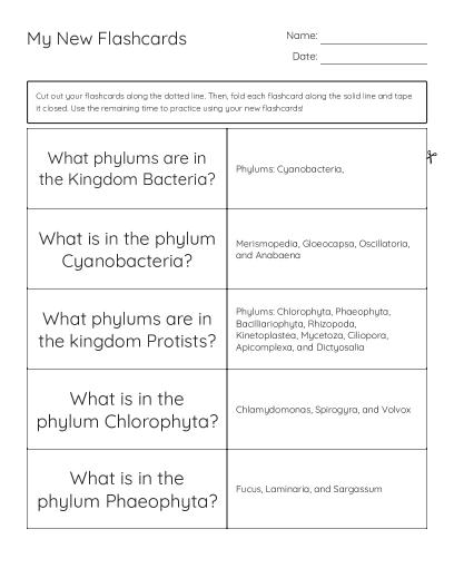 Ocean Life Study: Vocabulary and Classification Notes - Free Printable ...