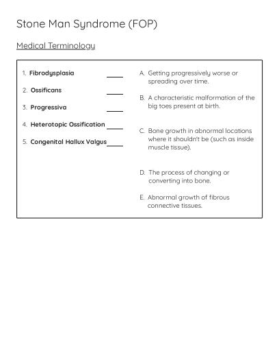Volcano Types: Cinder-Cone, Shield, and Composite - Free Printable ...